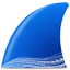 Wireshark logo